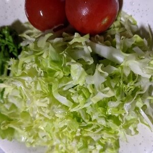 フレンチドレッシングで食べる生野菜